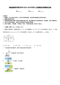 海南省儋州市第五中学2023-2024学年九上物理期末调研模拟试题含答案