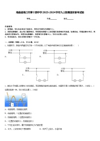 海南省海口市第十四中学2023-2024学年九上物理期末联考试题含答案