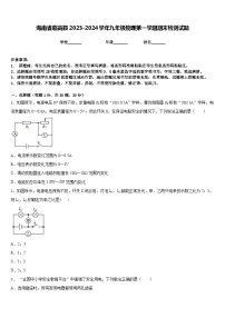 海南省临高县2023-2024学年九年级物理第一学期期末检测试题含答案