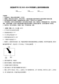 湖北省咸宁市三校2023-2024学年物理九上期末检测模拟试题含答案