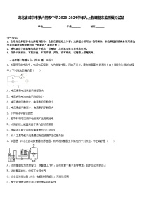 湖北省咸宁市第六初级中学2023-2024学年九上物理期末监测模拟试题含答案