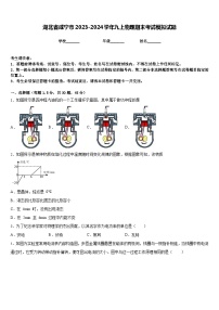 湖北省咸宁市2023-2024学年九上物理期末考试模拟试题含答案