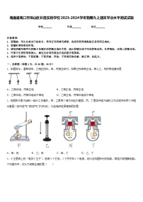 海南省海口市琼山区长流实验学校2023-2024学年物理九上期末学业水平测试试题含答案