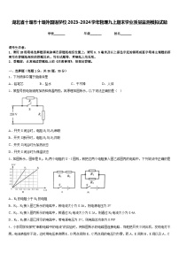 湖北省十堰市十堰外国语学校2023-2024学年物理九上期末学业质量监测模拟试题含答案