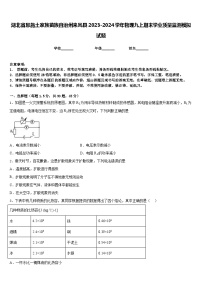 湖北省恩施土家族苗族自治州来凤县2023-2024学年物理九上期末学业质量监测模拟试题含答案