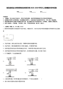 湖北省恩施土家族苗族自治州咸丰县2023-2024学年九上物理期末统考试题含答案