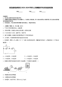 湖北省恩施州名校2023-2024学年九上物理期末学业质量监测试题含答案