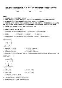 湖北省武汉汉阳区四校联考2023-2024学年九年级物理第一学期期末联考试题含答案