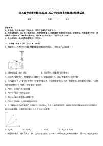 湖北省孝感市孝昌县2023-2024学年九上物理期末经典试题含答案