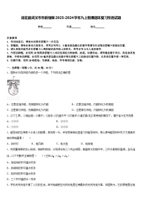 湖北省武汉市市新观察2023-2024学年九上物理期末复习检测试题含答案