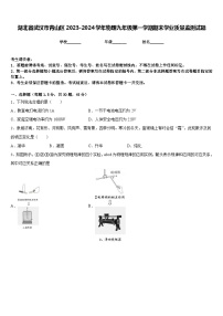 湖北省武汉市青山区2023-2024学年物理九年级第一学期期末学业质量监测试题含答案