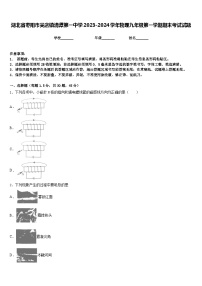 湖北省枣阳市吴店镇清潭第一中学2023-2024学年物理九年级第一学期期末考试试题含答案