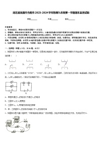 湖北省宜昌市当阳市2023-2024学年物理九年级第一学期期末监测试题含答案