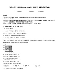 湖北省武汉市汉阳区2023-2024学年物理九上期末综合测试试题含答案