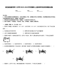 湖北省宜昌市第十六中学2023-2024学年物理九上期末教学质量检测模拟试题含答案