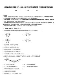 湖北省武汉市青山区5月2023-2024学年九年级物理第一学期期末复习检测试题含答案