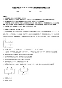 湖北省孝昌县2023-2024学年九上物理期末调研模拟试题含答案