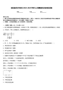 湖北省武汉市名校2023-2024学年九上物理期末达标测试试题含答案