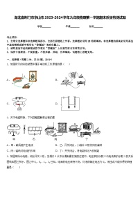 湖北省荆门市京山市2023-2024学年九年级物理第一学期期末质量检测试题含答案