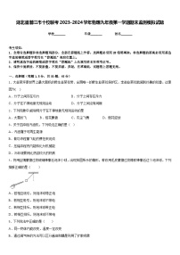 湖北省潜江市十校联考2023-2024学年物理九年级第一学期期末监测模拟试题含答案