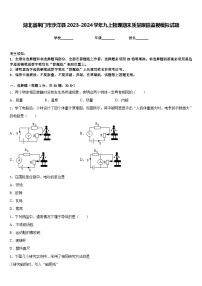 湖北省荆门市沙洋县2023-2024学年九上物理期末质量跟踪监视模拟试题含答案