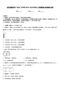 湖北省随州市广水市广才中学2023-2024学年九上物理期末监测模拟试题含答案