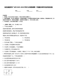 湖北省随州市广水市2023-2024学年九年级物理第一学期期末教学质量检测试题含答案