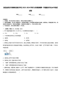 湖北省武汉市黄陂区部分学校2023-2024学年九年级物理第一学期期末学业水平测试试题含答案