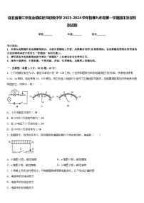 湖北省潜江市张金镇铁匠沟初级中学2023-2024学年物理九年级第一学期期末质量检测试题含答案