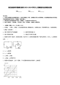 湖北省随州市曾都区唐县2023-2024学年九上物理期末监测模拟试题含答案