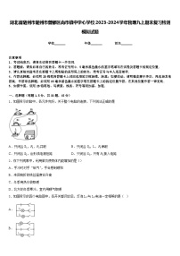 湖北省随州市随州市曾都区尚市镇中学心学校2023-2024学年物理九上期末复习检测模拟试题含答案