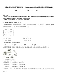 湖北省黄石市还地桥镇南湾初级中学2023-2024学年九上物理期末联考模拟试题含答案