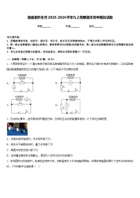 湖南省怀化市2023-2024学年九上物理期末统考模拟试题含答案