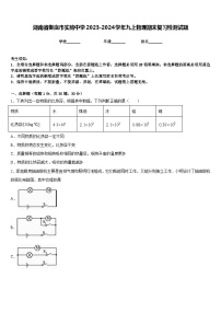 湖南省娄底市实验中学2023-2024学年九上物理期末复习检测试题含答案