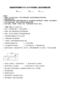 湖南省株洲市醴陵市2023-2024学年物理九上期末检测模拟试题含答案