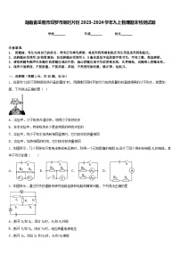 湖南省岳阳市汨罗市弼时片区2023-2024学年九上物理期末检测试题含答案