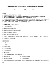 湖南省岳阳市城区2023-2024学年九上物理期末复习检测模拟试题含答案