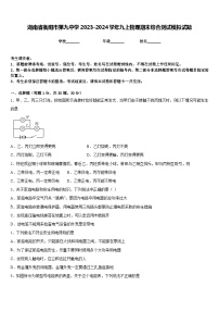 湖南省衡阳市第九中学2023-2024学年九上物理期末综合测试模拟试题含答案