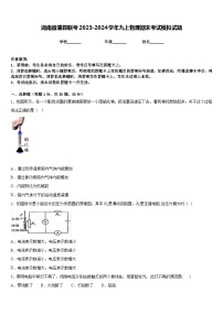 湖南省澧县联考2023-2024学年九上物理期末考试模拟试题含答案