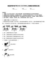 湖南省邵阳市新宁县2023-2024学年九上物理期末调研模拟试题含答案