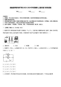 湖南省邵阳市新宁县2023-2024学年物理九上期末复习检测试题含答案