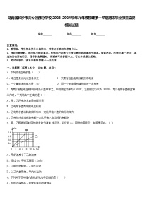 湖南省长沙市天心区部分学校2023-2024学年九年级物理第一学期期末学业质量监测模拟试题含答案