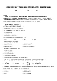 湖南省长沙市实验中学2023-2024学年物理九年级第一学期期末联考试题含答案