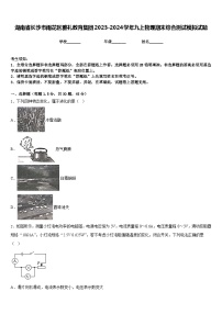 湖南省长沙市雨花区雅礼教育集团2023-2024学年九上物理期末综合测试模拟试题含答案