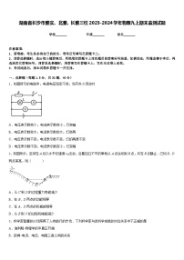 湖南省长沙市雅实、北雅、长雅三校2023-2024学年物理九上期末监测试题含答案