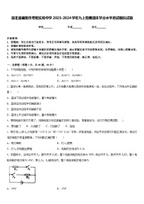 湖北省襄阳市枣阳实验中学2023-2024学年九上物理期末学业水平测试模拟试题含答案