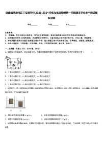 湖南省常德市芷兰实验学校2023-2024学年九年级物理第一学期期末学业水平测试模拟试题含答案