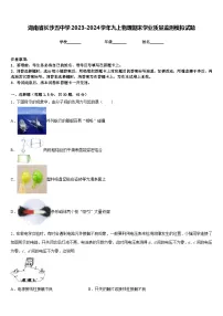 湖南省长沙五中学2023-2024学年九上物理期末学业质量监测模拟试题含答案