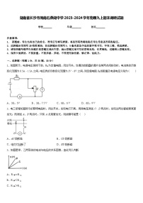 湖南省长沙市周南石燕湖中学2023-2024学年物理九上期末调研试题含答案