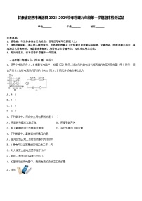 甘肃省定西市渭源县2023-2024学年物理九年级第一学期期末检测试题含答案